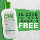 Naturals With Aloe Vera Hydrating Shampoo, , large image number null